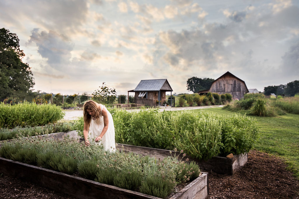 The French Colonial Gardens Driving Tour